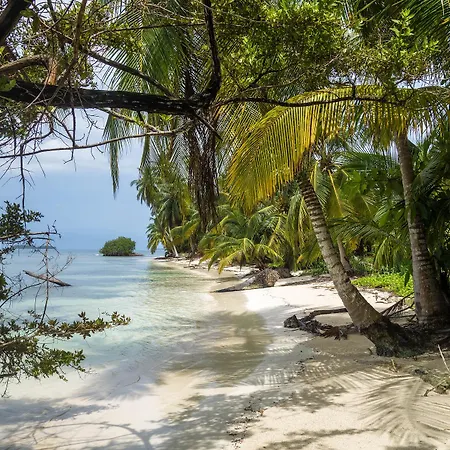 Caraibas